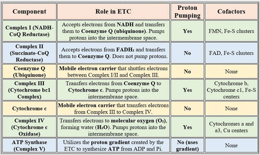 ETC components