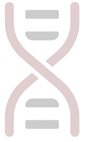 ElevEx BioGroup | Experts by your Side