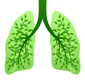 pulmones sanos por dejar de fumar