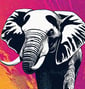 a black and white elephant standing in front of a pink and yellow background