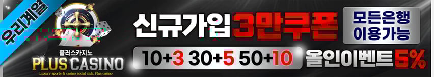 플러스카지노