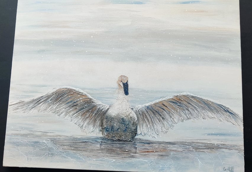 Paintings of a bird on water during winter