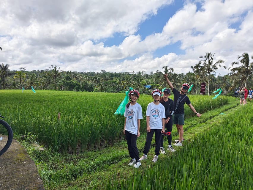 UBUD rice fields