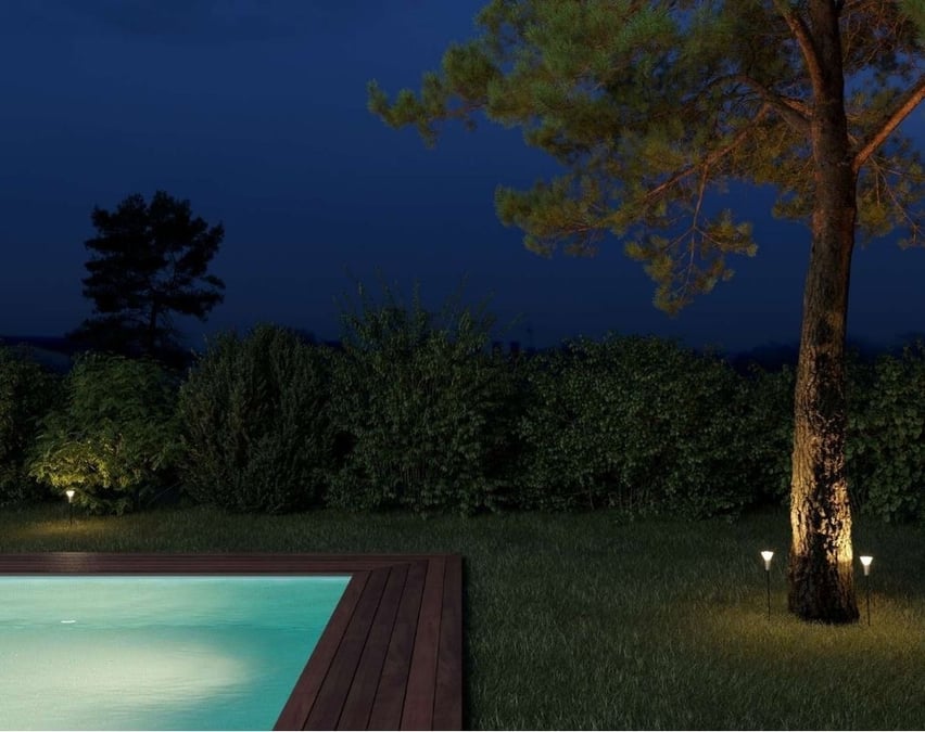 fotografía jardín de noche