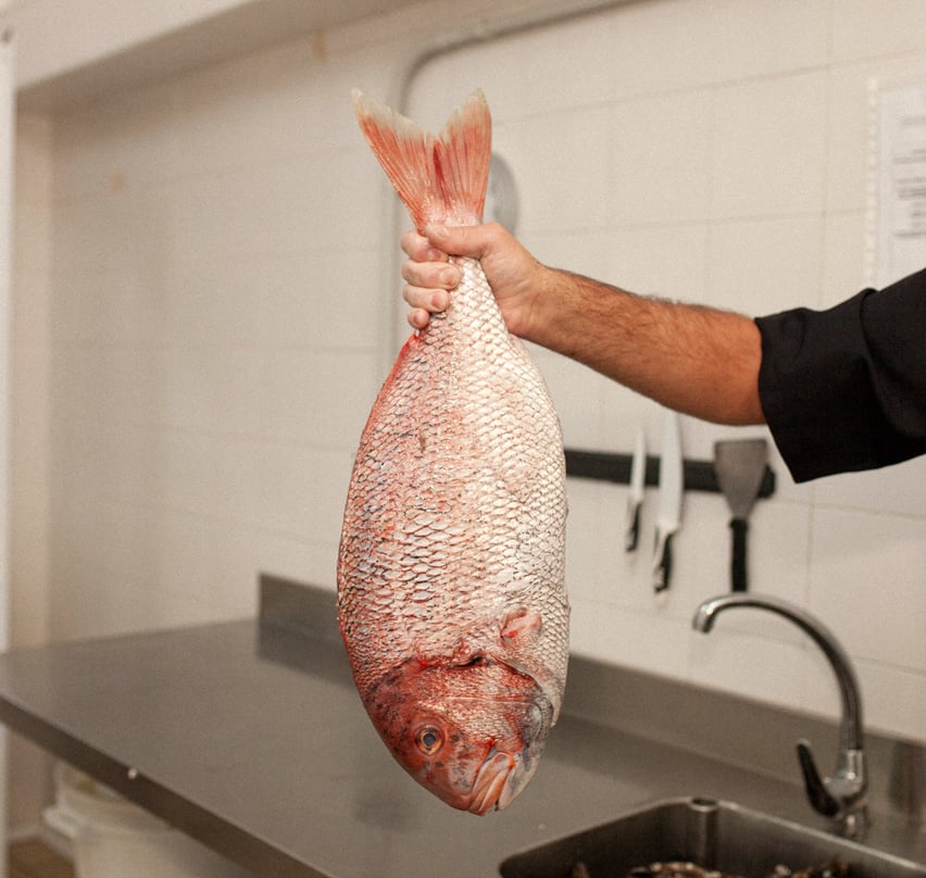 Pescado fresco para disfrutar entre amigos de un suculento plato de gastronomía de primer nivel    