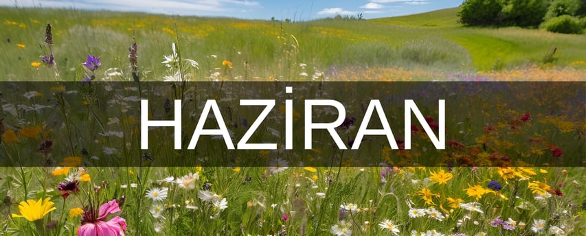 Haziranda doğanlar hangi burç