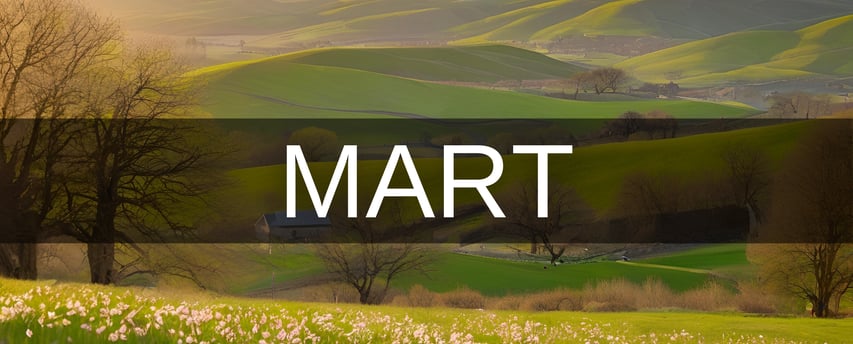 Mart ayı hangi burç