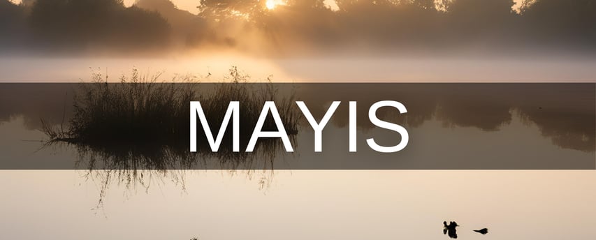 Mayıs ayında doğanlar hangi burç