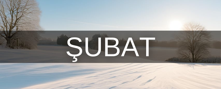 Şubat ayı hangi burç