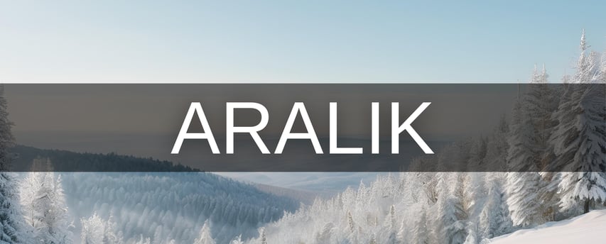 Aralık ayı hangi burç