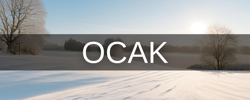 Ocak ayı hangi burç