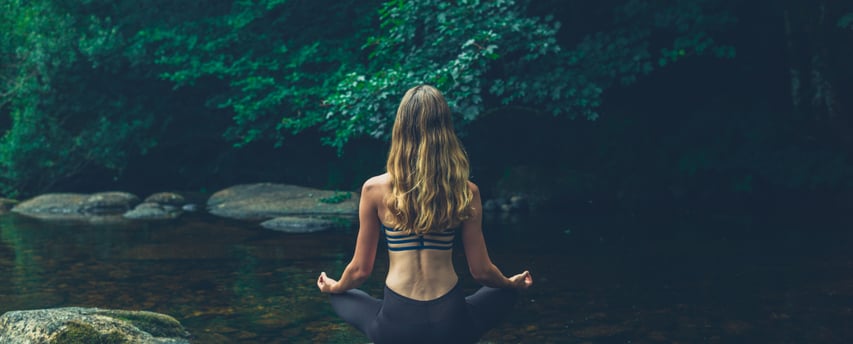 Ormanda meditasyon