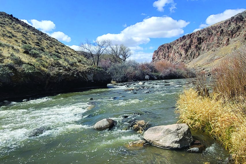 Photo of the Walker River located in Smith Valley, Nevada
