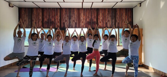 Himalayan Yoga Retreat  Yoga Meditation Retreats & Teacher