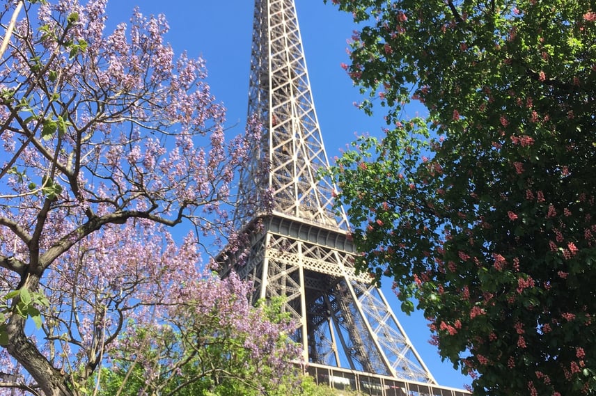 árvores com flores e Torre Eiffel ao fundo