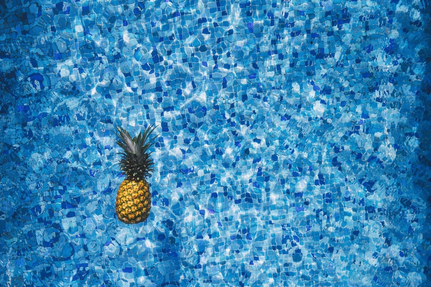 ananas dans la piscine