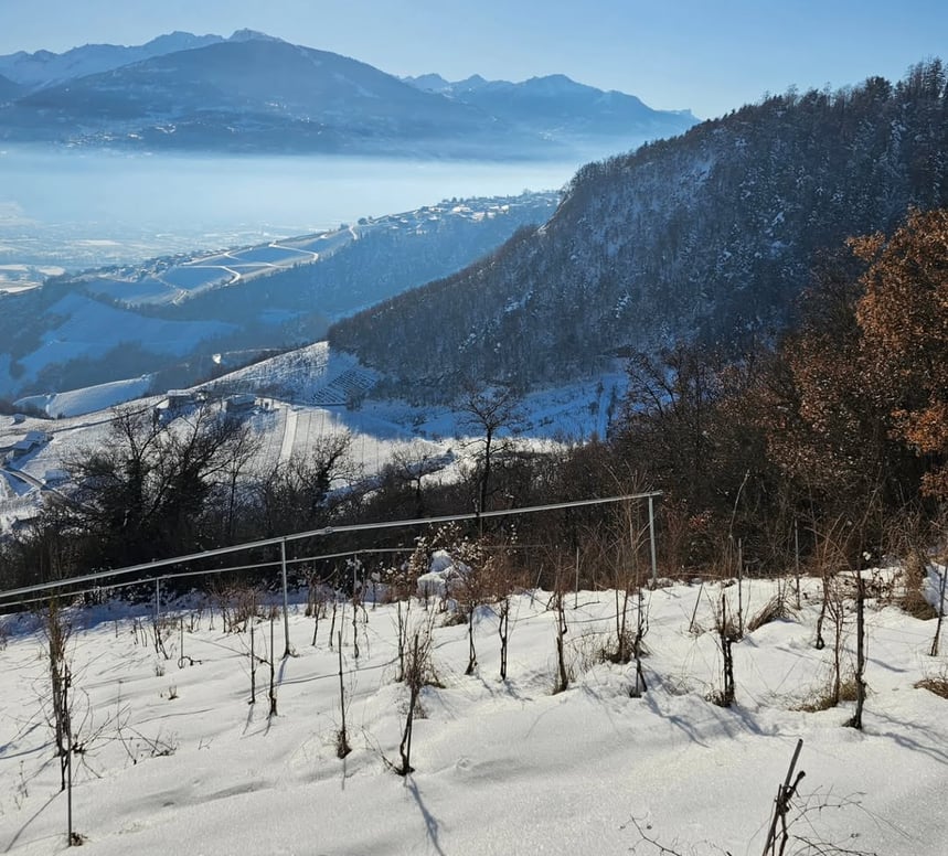 Mythopia - Curve Wines