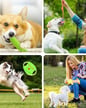 toys, pet, dog, dogs, food, treats, cat, small pet, animals