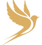 Jona-AS-vGmbH-Srls-Gold-Logo