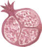 watercolor pomegranate sliced open