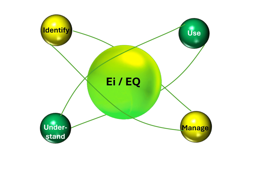 EI Ability Model image
