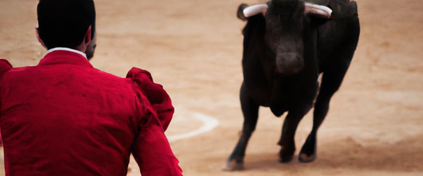 bull fighting