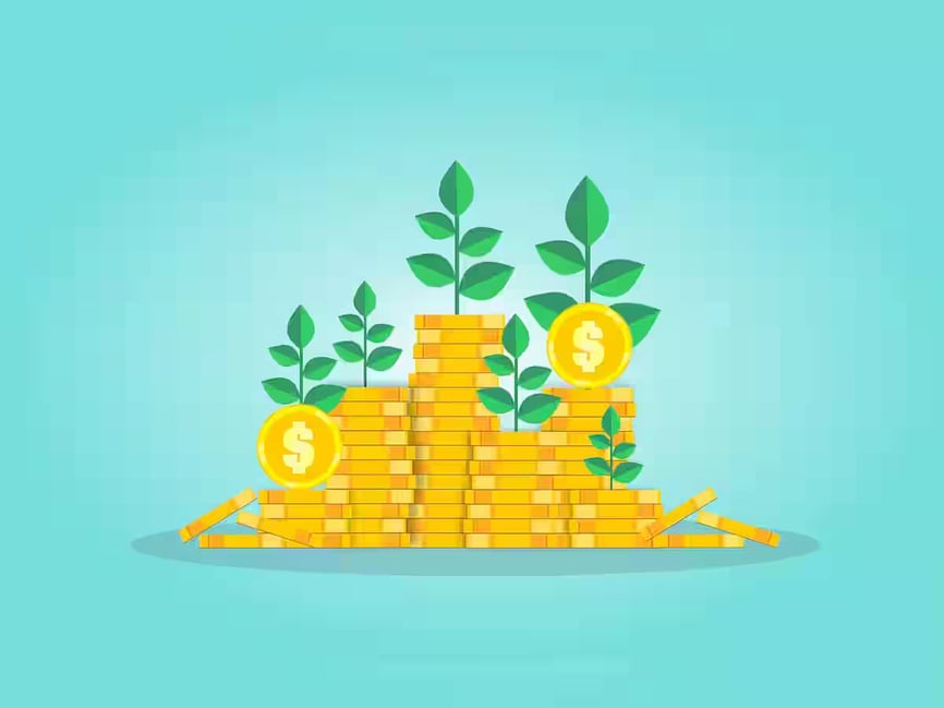 midcap & smallcap