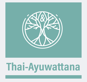 Thaiboost academy logo heilen und balance Thai solution Massage