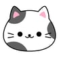 a cat with a cat face and a cat face