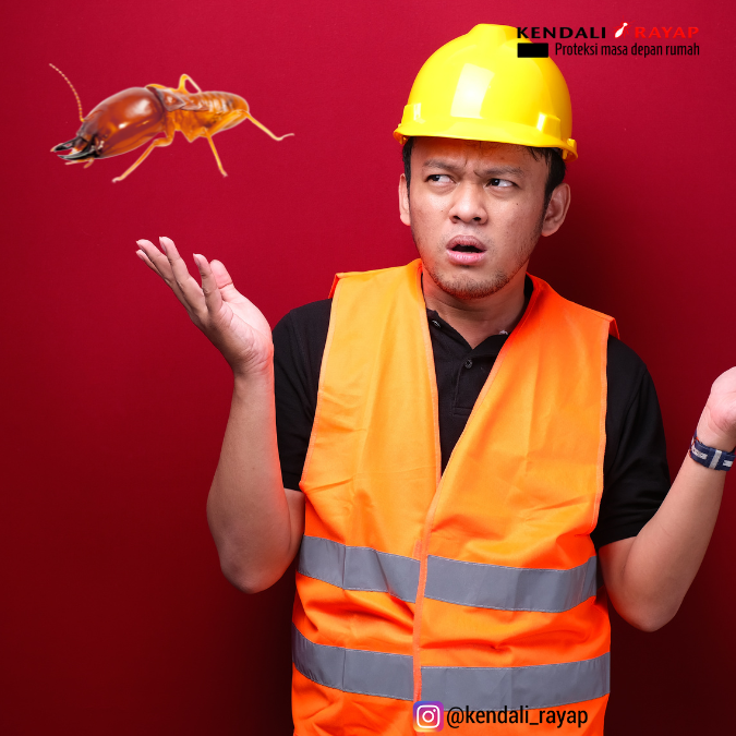 seorang pria teknisi kendali rayap bertopi helm dan rompi pengaman dengan melihat rayap