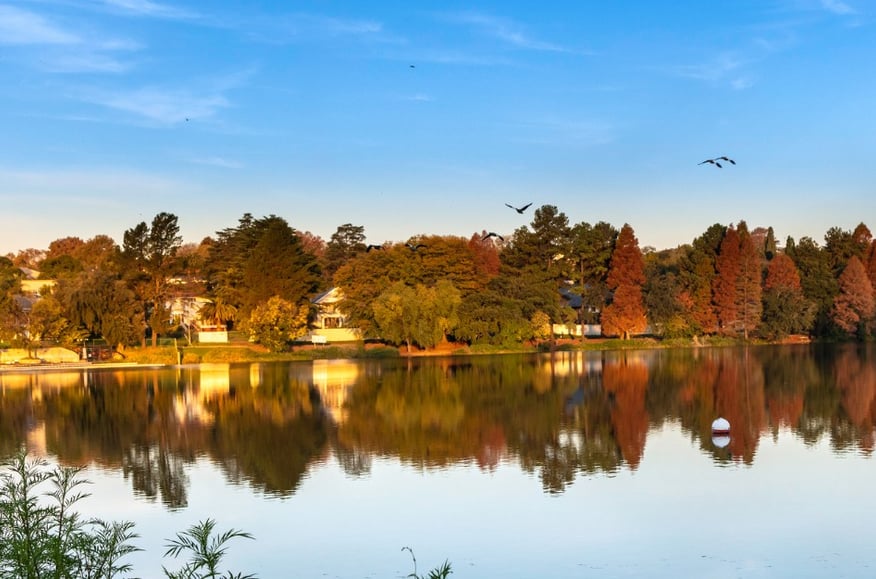 Johannesburg Botanical Gardens and Emmarentia Dam