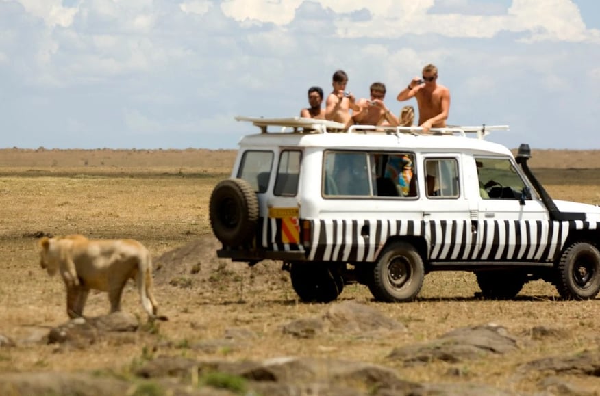 Lion & Safari Park, Johannesburg, South Africa: