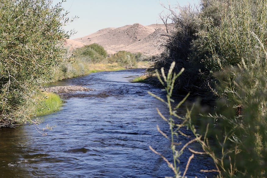 Photo of the Walker River located in Mason Valley, Nevada.