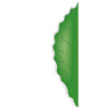 Feuille - bord cilié