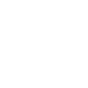 Truck icon