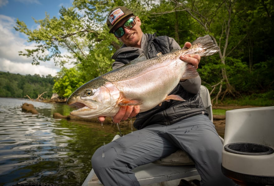 Fly Fish the South Holston River