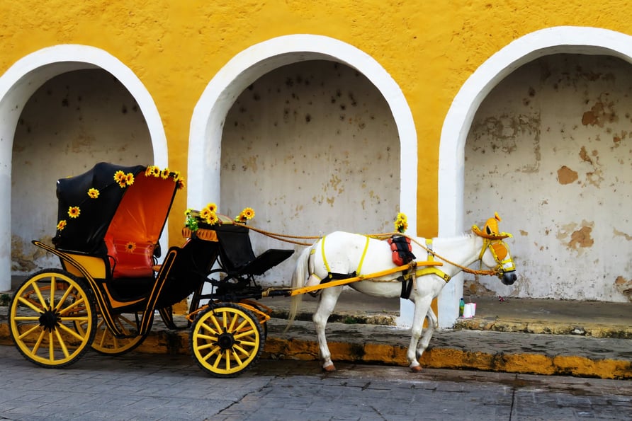 a horse drawn carriage with a horse drawn carriage