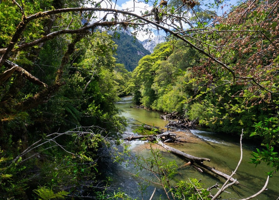 Fluss intakter Lebensraum