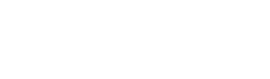 Schuler Consulting