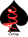 Acecarry Solutions logo