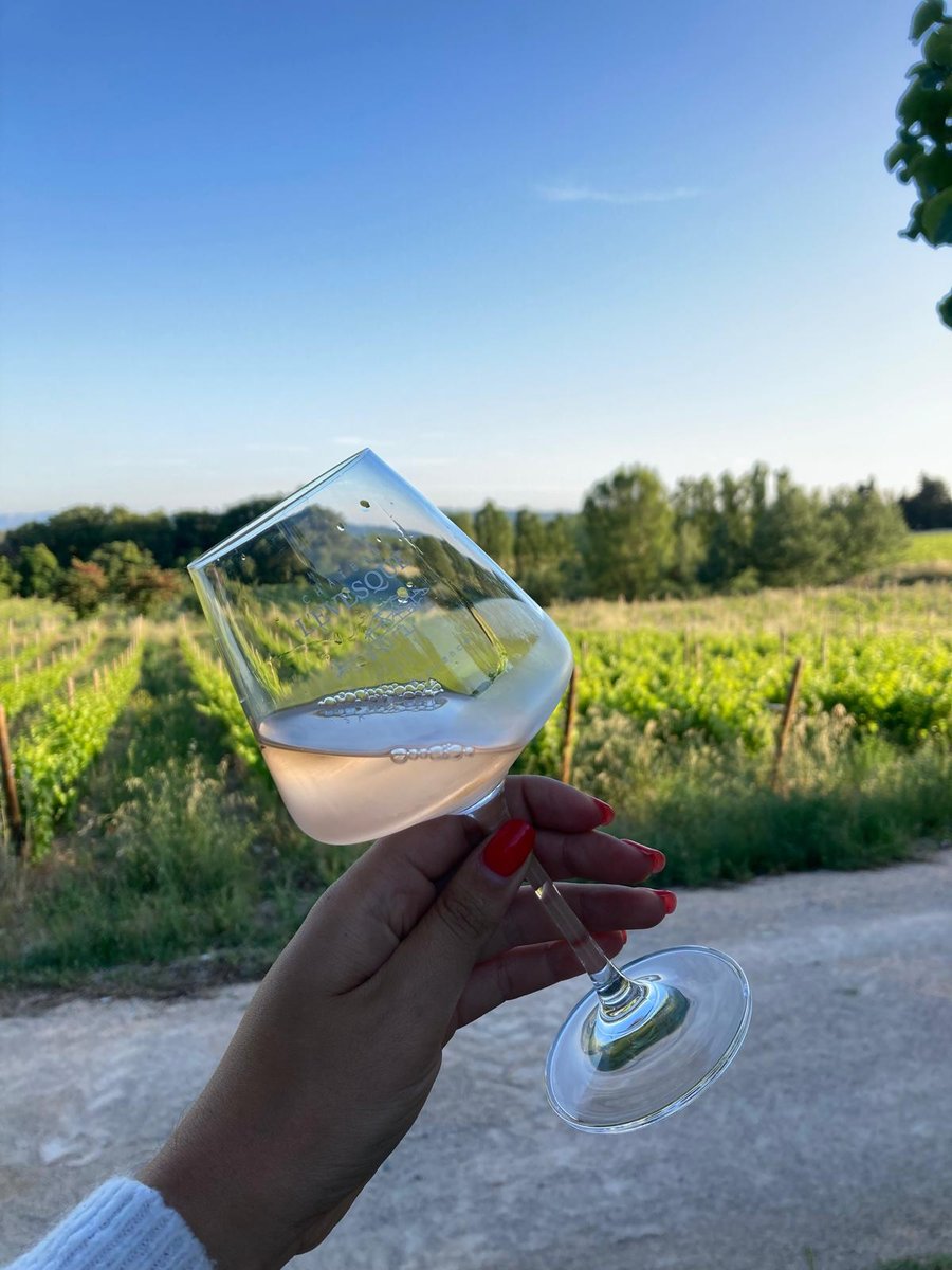 Dégustation de vins de Provence