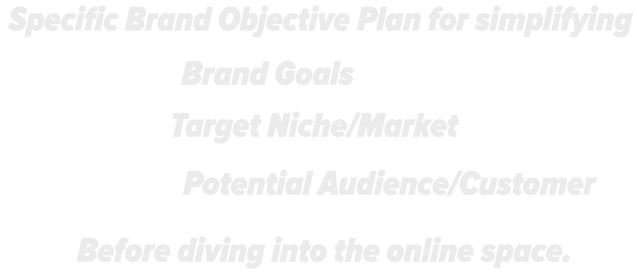 Specific Brand Objective Plan for simplifying Brand Goals, Target Niche/market, Potential customer