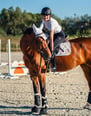 equitazione salto ostacoli