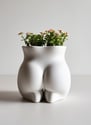 a small artistic planter with greenery, representing a thoughtful affordable gift idea