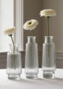 Set of ribbed clear bud vases with one flower each