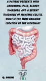 a 3-D picture of a gastrointestinal tract rendering