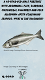 an image of a bluefish