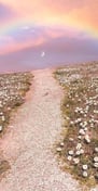 Chemin vers le bonheur avec un arc en ciel