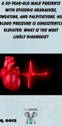 a 3-D heart image with an ECG wave progressing