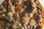 fotografia de moho en alimento